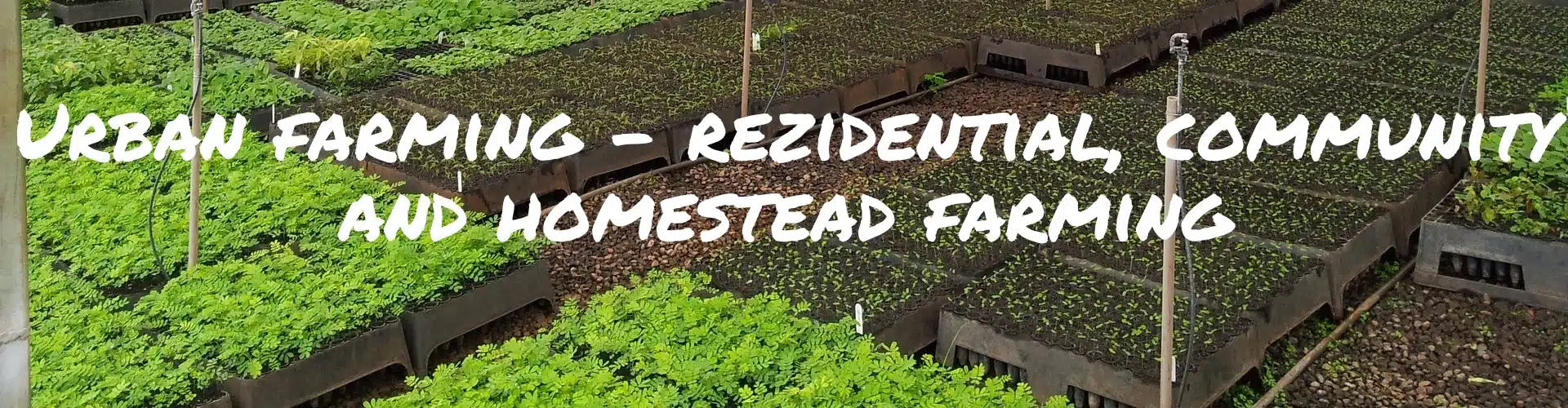 Urban farming - rezidential, community and homestead farming